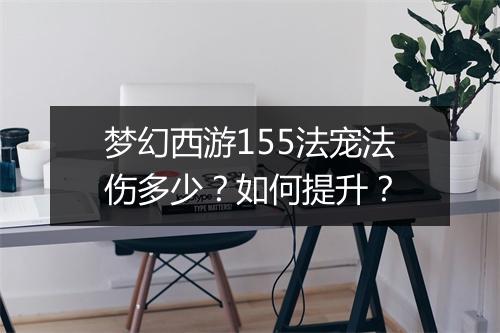 梦幻西游155法宠法伤多少？如何提升？