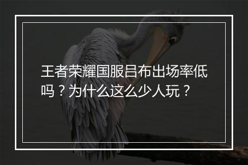 王者荣耀国服吕布出场率低吗？为什么这么少人玩？