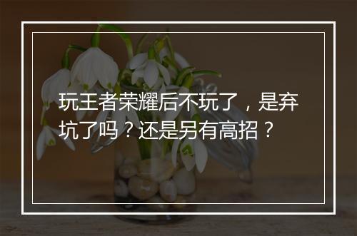 玩王者荣耀后不玩了，是弃坑了吗？还是另有高招？