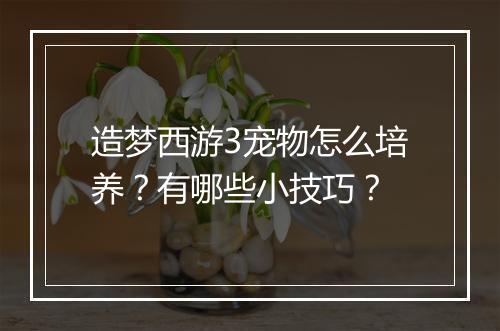 造梦西游3宠物怎么培养？有哪些小技巧？