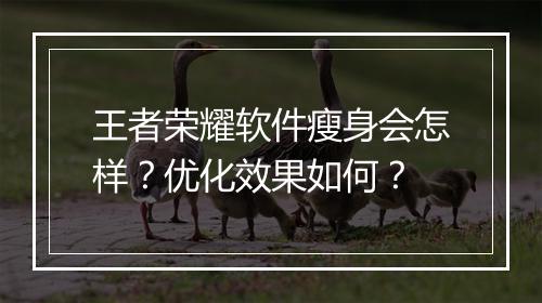 王者荣耀软件瘦身会怎样？优化效果如何？
