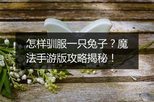 怎样驯服一只兔子？魔法手游版攻略揭秘！