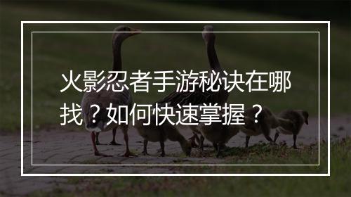 火影忍者手游秘诀在哪找？如何快速掌握？