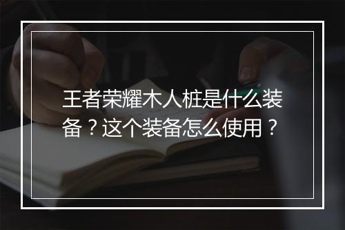 王者荣耀木人桩是什么装备？这个装备怎么使用？