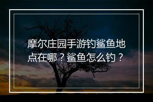 摩尔庄园手游钓鲨鱼地点在哪?鲨鱼怎么钓?