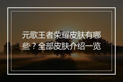 元歌王者荣耀皮肤有哪些？全部皮肤介绍一览