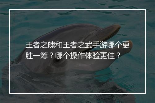 王者之魄和王者之武手游哪个更胜一筹？哪个操作体验更佳？