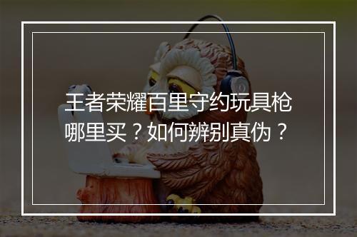 王者荣耀百里守约玩具枪哪里买？如何辨别真伪？