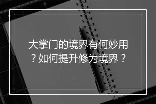 大掌门的境界有何妙用？如何提升修为境界？