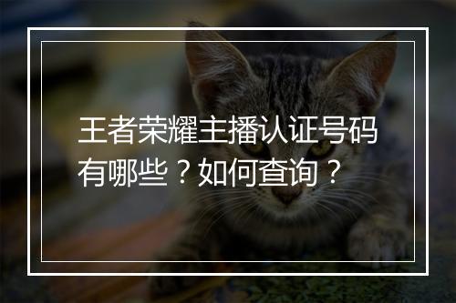 王者荣耀主播认证号码有哪些？如何查询？