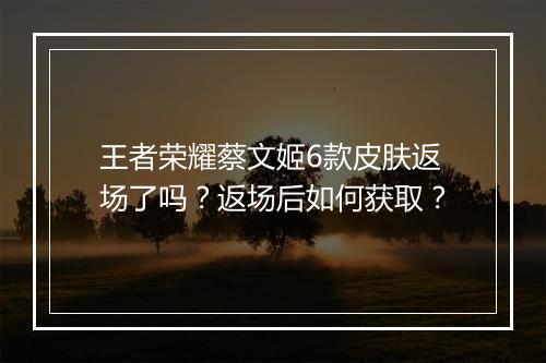 王者荣耀蔡文姬6款皮肤返场了吗？返场后如何获取？