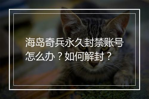 海岛奇兵永久封禁账号怎么办？如何解封？
