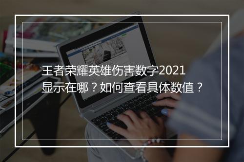 王者荣耀英雄伤害数字2021显示在哪？如何查看具体数值？