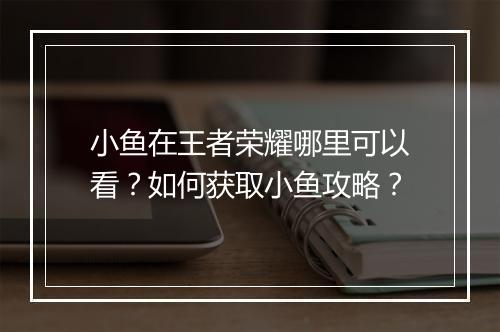 小鱼在王者荣耀哪里可以看？如何获取小鱼攻略？