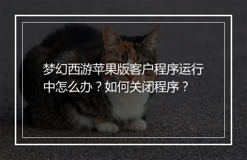 梦幻西游苹果版客户程序运行中怎么办？如何关闭程序？
