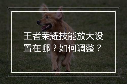 王者荣耀技能放大设置在哪？如何调整？