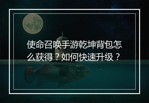 使命召唤手游乾坤背包怎么获得？如何快速升级？