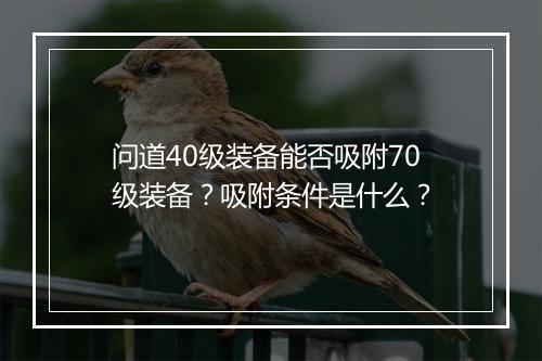问道40级装备能否吸附70级装备？吸附条件是什么？