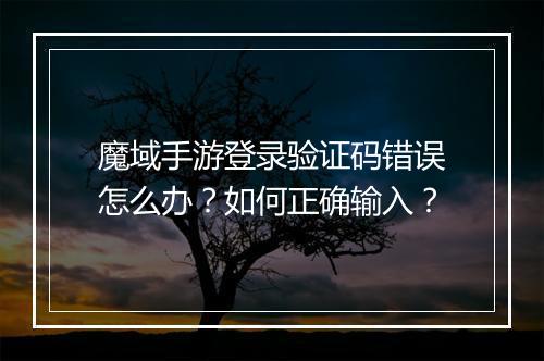 魔域手游登录验证码错误怎么办？如何正确输入？