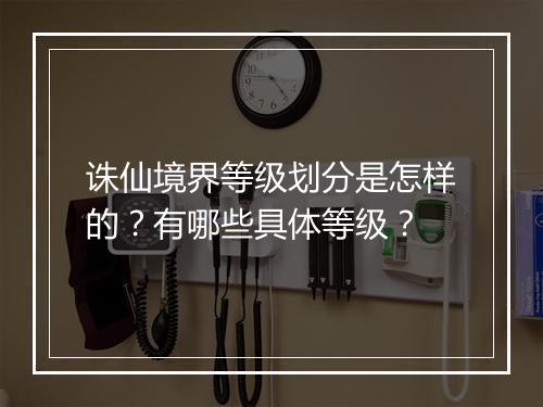 诛仙境界等级划分是怎样的？有哪些具体等级？