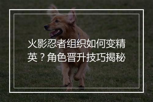火影忍者组织如何变精英？角色晋升技巧揭秘