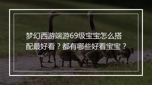 梦幻西游端游69级宝宝怎么搭配最好看？都有哪些好看宝宝？