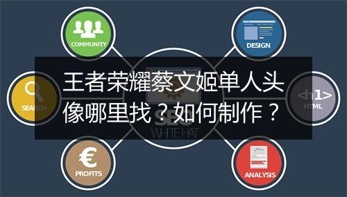 王者荣耀蔡文姬单人头像哪里找？如何制作？