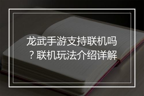 龙武手游支持联机吗？联机玩法介绍详解