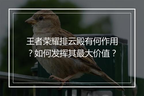 王者荣耀排云殿有何作用？如何发挥其最大价值？