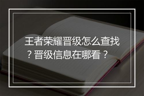 王者荣耀晋级怎么查找？晋级信息在哪看？