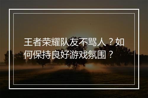 王者荣耀队友不骂人？如何保持良好游戏氛围？
