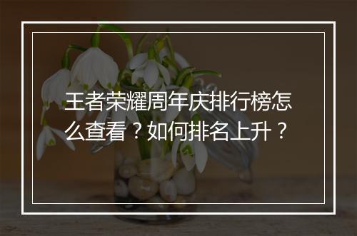王者荣耀周年庆排行榜怎么查看？如何排名上升？