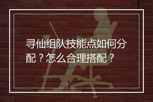寻仙组队技能点如何分配?怎么合理搭配?