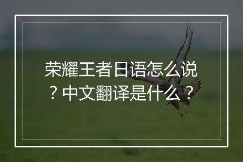 荣耀王者日语怎么说？中文翻译是什么？