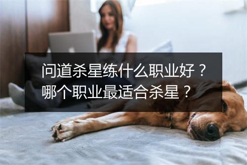 问道杀星练什么职业好?哪个职业最适合杀星?