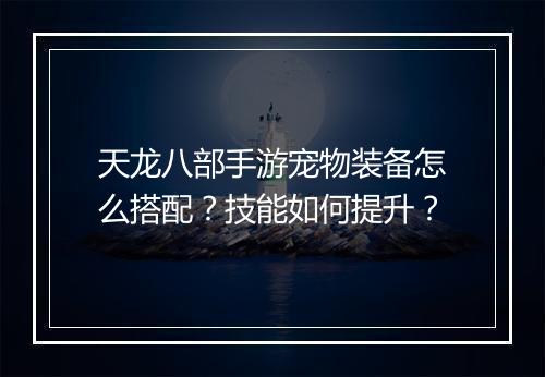 天龙八部手游宠物装备怎么搭配？技能如何提升？