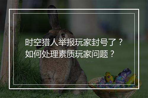 时空猎人举报玩家封号了？如何处理素质玩家问题？