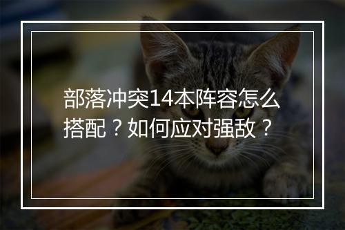 部落冲突14本阵容怎么搭配？如何应对强敌？
