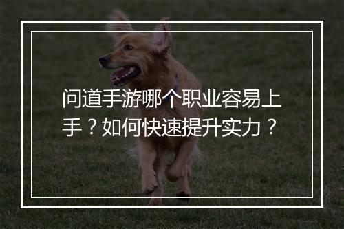 问道手游哪个职业容易上手？如何快速提升实力？