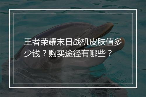 王者荣耀末日战机皮肤值多少钱？购买途径有哪些？