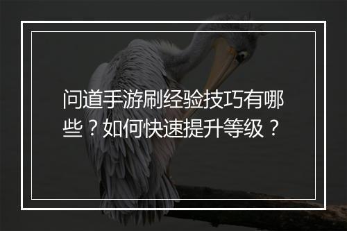 问道手游刷经验技巧有哪些?如何快速提升等级?