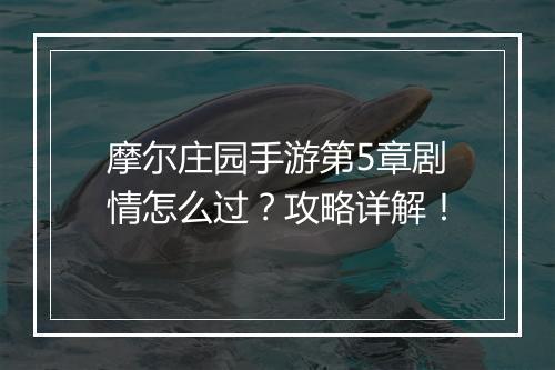 摩尔庄园手游第5章剧情怎么过？攻略详解！