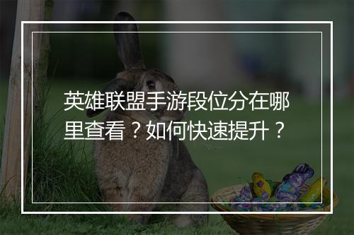 英雄联盟手游段位分在哪里查看？如何快速提升？