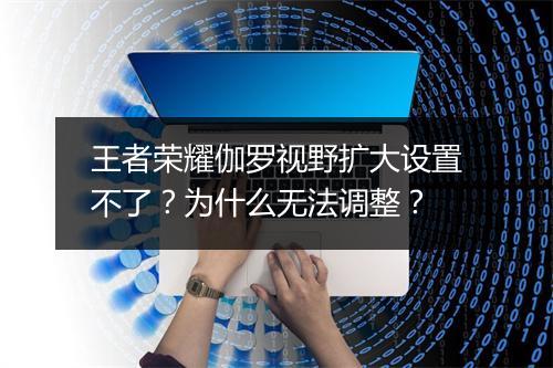 王者荣耀伽罗视野扩大设置不了？为什么无法调整？