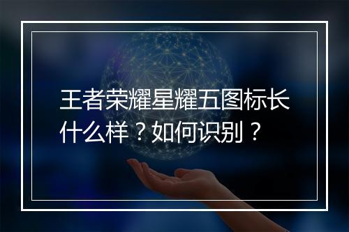 王者荣耀星耀五图标长什么样？如何识别？