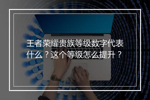 王者荣耀贵族等级数字代表什么？这个等级怎么提升？