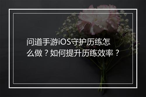 问道手游iOS守护历练怎么做？如何提升历练效率？