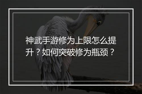 神武手游修为上限怎么提升？如何突破修为瓶颈？
