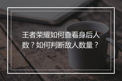 王者荣耀如何查看身后人数？如何判断敌人数量？
