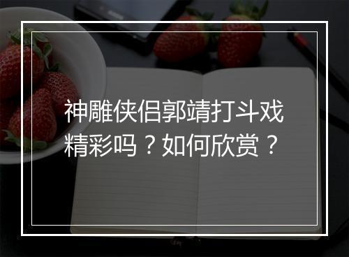 神雕侠侣郭靖打斗戏精彩吗？如何欣赏？